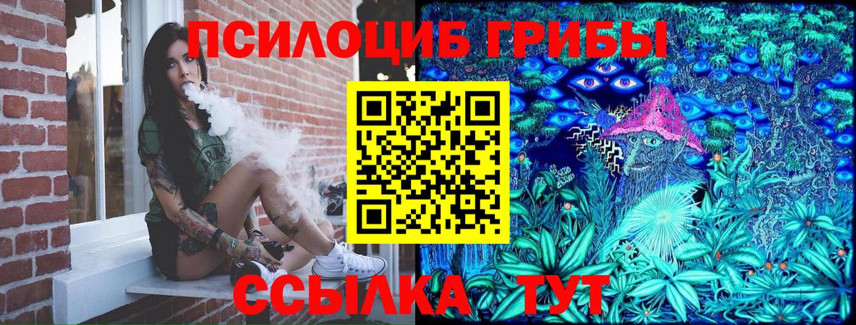 купить   Вход с VPN  Галлюциногенные грибы мухоморы  Советск  Псилоцибиновые грибы Psilocybine cubensis 