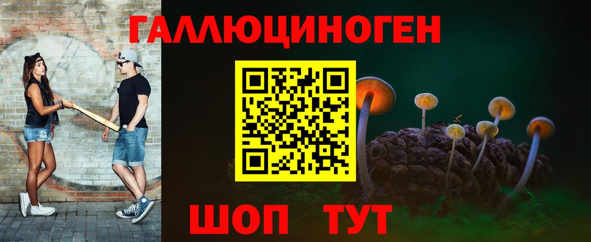 Псилоцибиновые грибы Psilocybine cubensis Советск